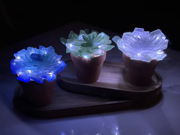 Terracotta Pot Sea Glass Succulent Kit